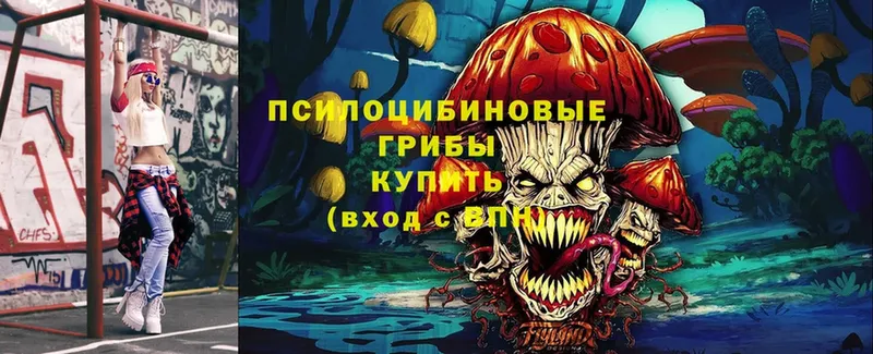 купить наркоту  Арсеньев  мега ссылка  Галлюциногенные грибы Psilocybine cubensis 